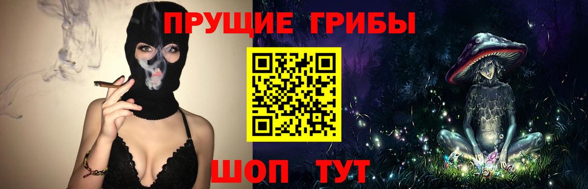 Магнитогорск  Галлюциногенные грибы Psilocybine cubensis  что такое   Вход с VPN 